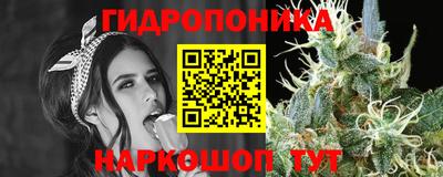 a pvp Сланцы