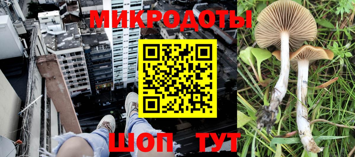 Псилоцибиновые грибы GOLDEN TEACHER  Псилоцибиновые грибы Psilocybine cubensis  Павлово  Вход с VPN 